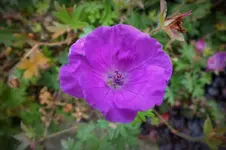 DSCF8775 (2).webp