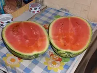 CIMG0073.webp