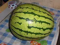 CIMG0067.webp