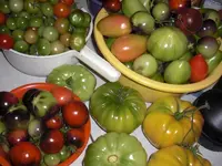 CIMG0106.webp
