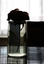 black (6).webp