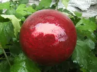 BILD3555.webp