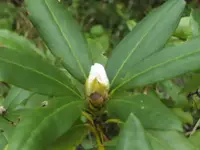 BILD3580.webp