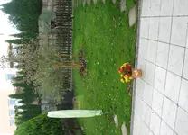 IMG_7370_cr.webp