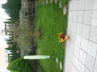 IMG_7370.webp