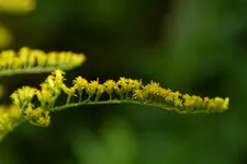 DSC_9675_24121.webp