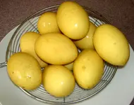 Soleierv.webp