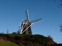 image.webp