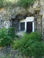 image.webp
