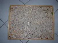 DSCN6002.webp