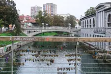 CIMG4743.webp