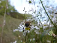 P1230160.webp