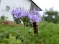 P1230101.webp