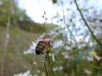 P1230159.webp