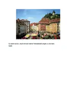 tautropfen 4.webp