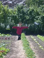 DSCN6814.webp
