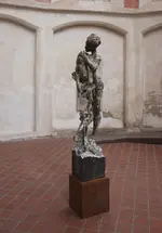 P5114095_Figur.webp
