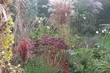 DSCF8820.webp