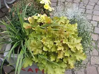 045.webp