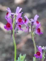 4.7 (6).webp