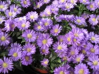 Bild 300.webp
