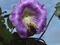 K800_DSCF5616.webp