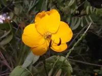 K800_DSCF5617.webp