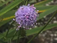 K800_DSCF5623.webp