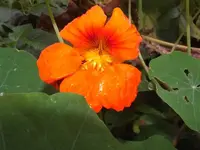 K800_DSCF5620.webp