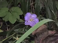 K800_DSCF5618.webp