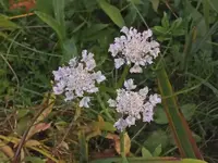 K800_DSCF5628.webp
