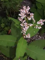 K800_DSCF5629.webp