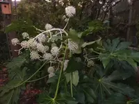 K800_DSCF5626.webp