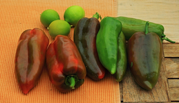 ungarische Paprika und Limetten_rot_grün_640.webp