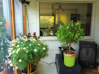 Stirnseite_linke Seite_640.webp