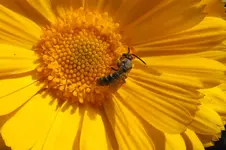 DSCF8866.webp