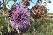 DSCF8827.webp