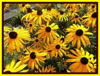 036.webp
