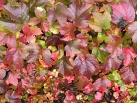BILD3556.webp