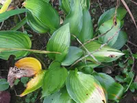 003_1024x768.webp