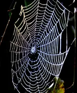 Schwarz-Weiß_00011.webp