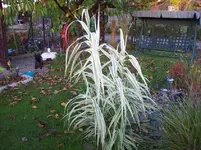 100_6459.webp