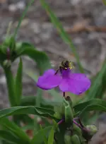 IMGP1360.webp