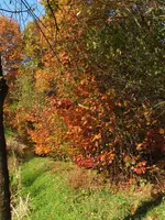 DSCF5689.jpg