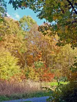 DSCF5697.jpg