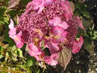012.webp