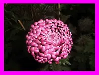 020.webp