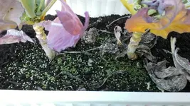 WIN_20141102_151740[1].webp