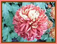 027.webp