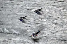 Abflug_00002.webp